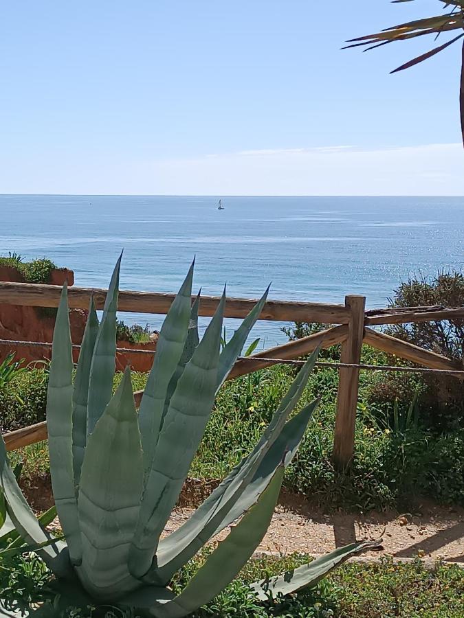 Mar A Vista Algarve Summer ปอร์ติเมา ภายนอก รูปภาพ